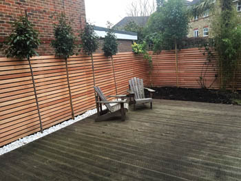 7-fencing(09).jpg